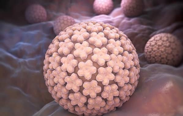 علت زگیل‌های تناسلی چیست؟